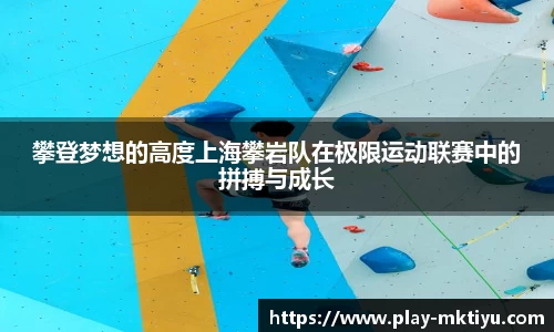 攀登梦想的高度上海攀岩队在极限运动联赛中的拼搏与成长